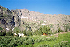 USA-Colorado-Colorado Cowboy Weekend